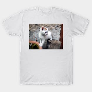 Little cute cat T-Shirt